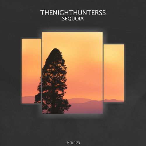 TheNightHunters - Sequoia [PLTL173]